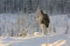 IMG_7300.JPG (740133 byte)
